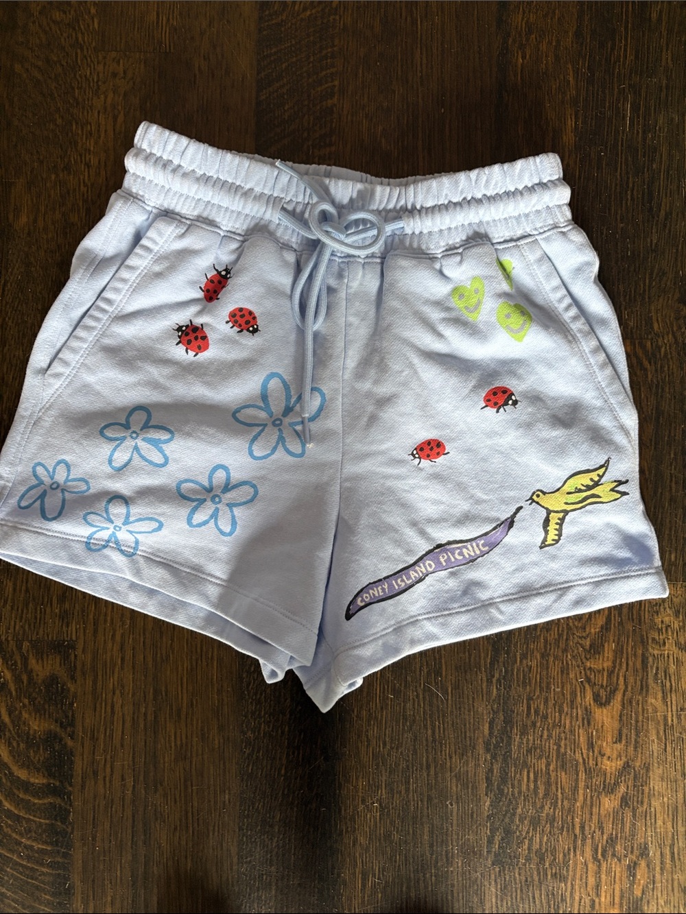 Light Blue Graphic Drawstring Athletic Shorts with Floral and Ladybug Print
